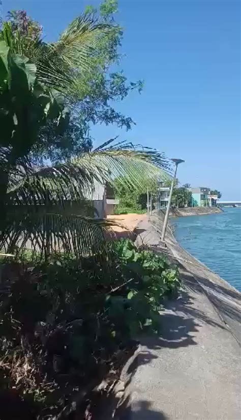 pinoy salsal video|Jakol Sa Gilid Ng Bahay Salsal Ng Malibog Pinoy Jakol Outdoor.